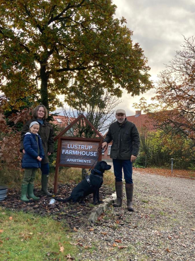 Lustrup Farmhouse Рибе Экстерьер фото
