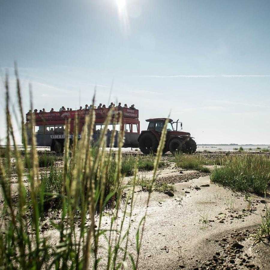 Lustrup Farmhouse Рибе Экстерьер фото